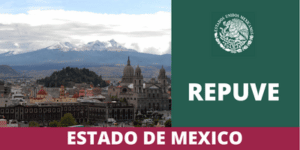 Consulta REPUVE Estado de México