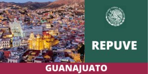Repuve Guanajuato