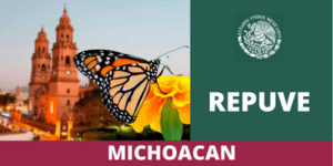 Repuve Michoacán