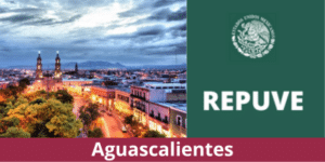 Consulta REPUVE Aguascalientes 2023