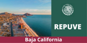 Consulta REPUVE Baja California 2023