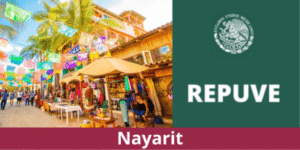 Consulta REPUVE Nayarit 2023