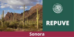 Consulta REPUVE Sonora 2023