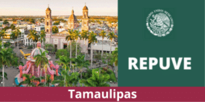 Consulta REPUVE Tamaulipas 2023